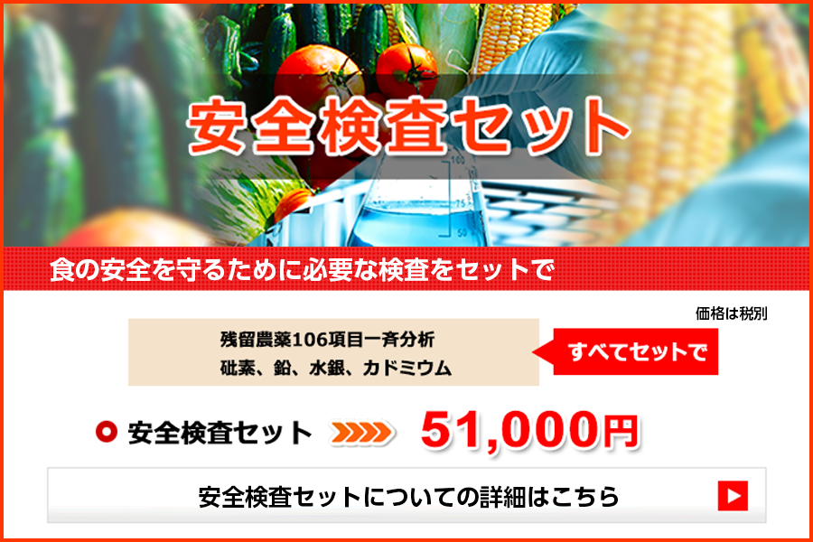 安全検査セット